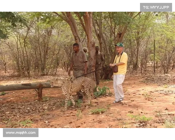 赞比亚监狱豹队前锋班达成功接受膝关节手术，预计6个月后回归赛场